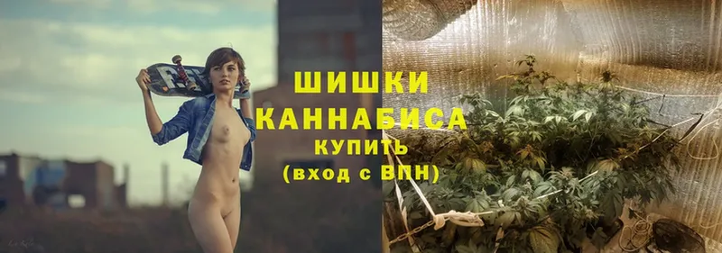 Шишки марихуана Bruce Banner  магазин продажи наркотиков  Партизанск 